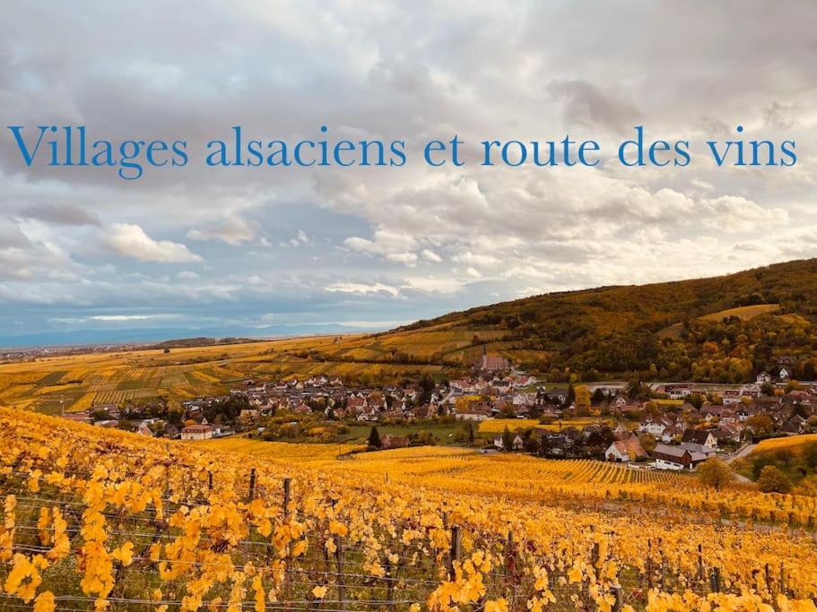 Апартаменти New L'Industr'Ill Au Coeur De L'Alsace Селеста Екстер'єр фото
