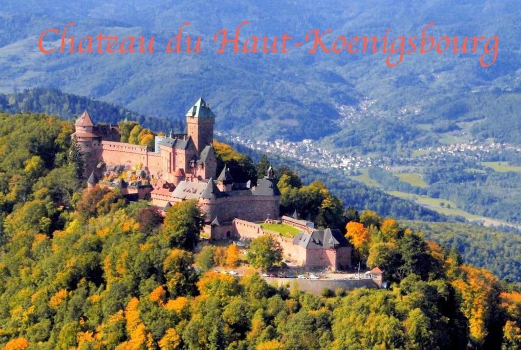 Апартаменти New L'Industr'Ill Au Coeur De L'Alsace Селеста Екстер'єр фото